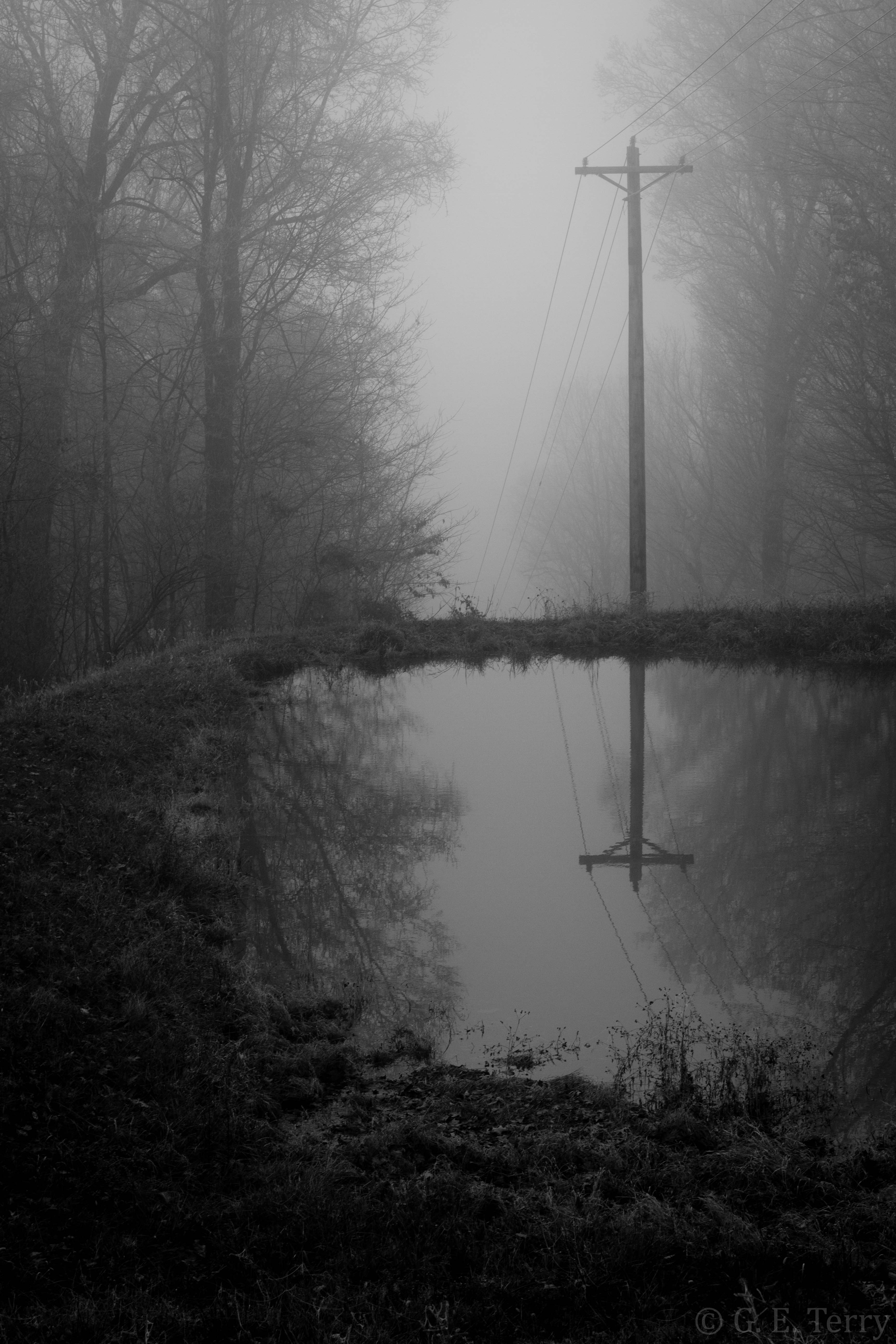 Black and White